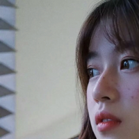 鸿福保单
