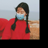 代码诗人